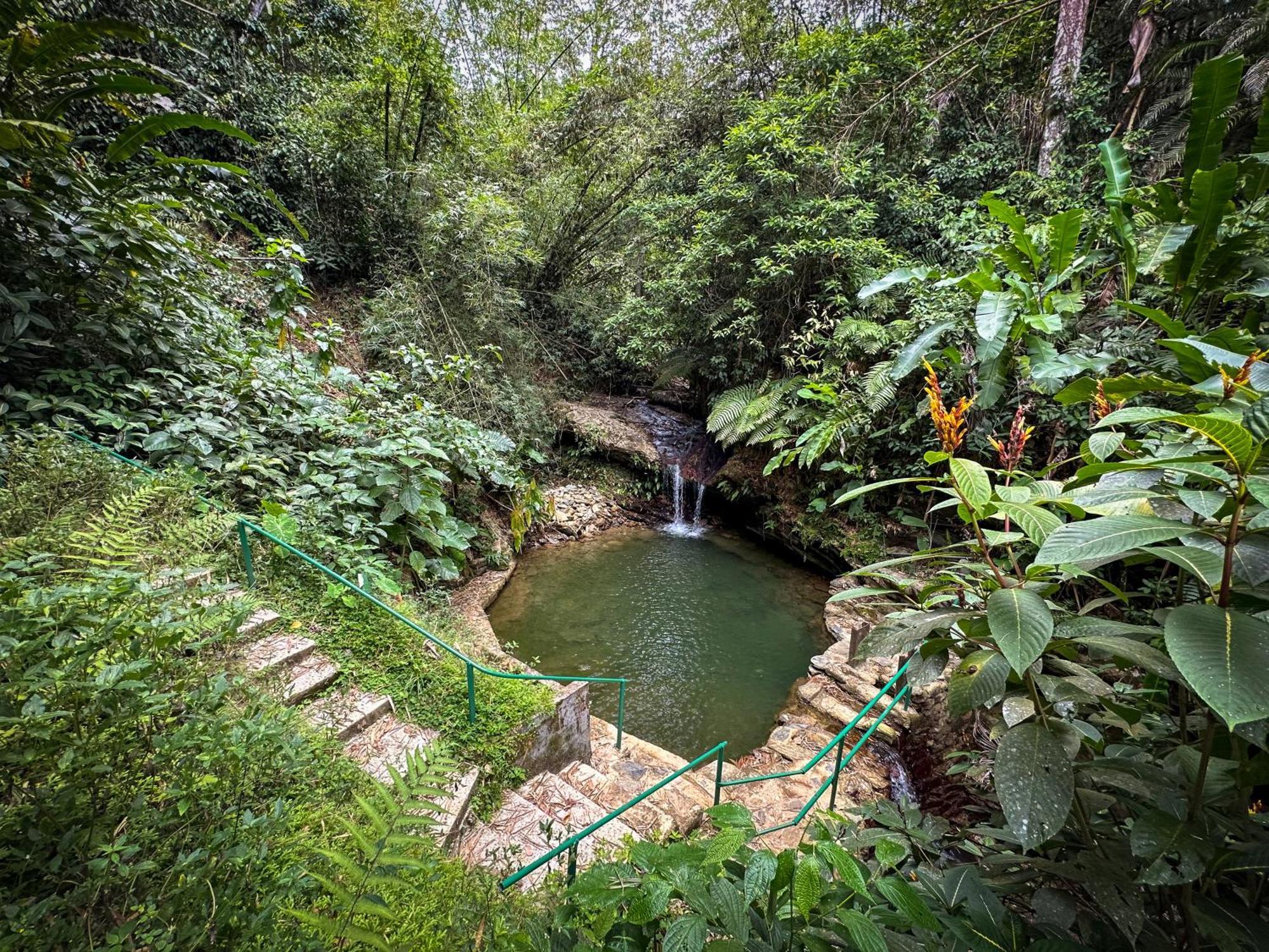Hadco Experiences At Asa Wright Nature Centre Blanchisseuse エクステリア 写真